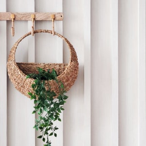 - Claycanopy Store